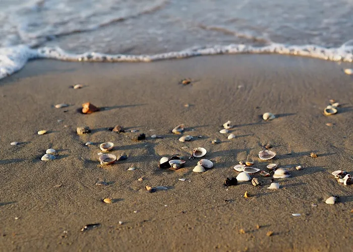 Apartmán Chic Seaview With Private Terrace *